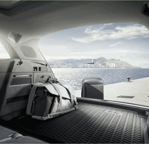 Cargo Mat - Audi (80A-061-182)