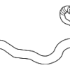 Lower Hose - BMW (17-12-9-797-615)