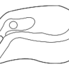 Arm Cap - BMW (61-62-8-222-510)