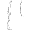 Lap & Shoulder Belt - BMW (72-11-7-051-519)