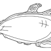 Headlamp Assembly - Right - Mercedes-Benz (163-820-50-61-64)