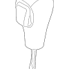 Shift Knob - BMW (25-16-7-585-789)