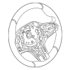 Steering Wheel - BMW (32-30-7-950-714)
