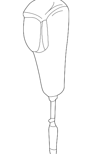 Shift Knob - BMW (25-16-2-228-252)