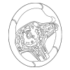 Steering Wheel - BMW (32-30-8-746-691)