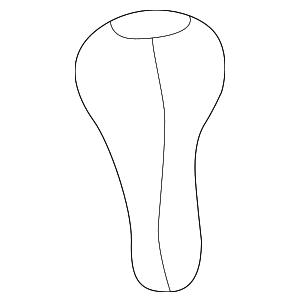 Shift Knob - BMW (25-11-7-523-817)