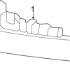 Side Marker Lamp - Land-Rover (LR152194)