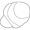 Heat Shield Bolt - Land-Rover (LR006698)