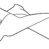 Heat Shield - Land-Rover (LR121137)