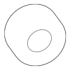 Discharge Hose Insert - Land-Rover (LR003185)