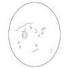 Steering Wheel - Land-Rover (LR115727)
